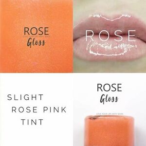 Lipsense by SeneGence Rose Lip Gloss full sized New Never opened